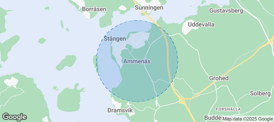 Discover Ammenäs Airbnb Analytics